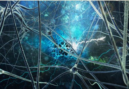 Neuroplasticity, the Brain Soulutions modality